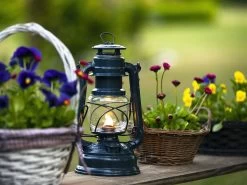 Feuerhand Baby Special 276 Anthracite Grey Stormlamp -Kortingswinkel voor buitenkamperen feuerhand stormlamp antraciet grijs 2 ecommerce 624d