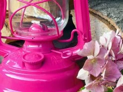 Feuerhand Baby Special 276 Telemagenta Stormlamp 9 Feuerhand Baby Special 276 Telemagenta Stormlamp -Kortingswinkel voor buitenkamperen feuerhand stormlamp magenta 4 ecommerce bd07