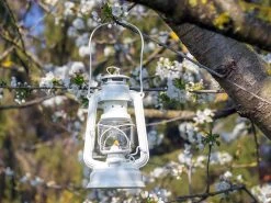 Feuerhand Baby Special 276 Pure White Stormlamp -Kortingswinkel voor buitenkamperen feuerhand stormlamp wit 3 ecommerce 5631