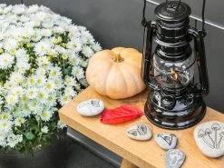 Feuerhand Baby Special 276 Black Stormlamp 11 Feuerhand Baby Special 276 Black Stormlamp -Kortingswinkel voor buitenkamperen feuerhand stormlamp zwart 4 ecommerce 1292