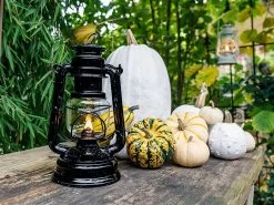 Feuerhand Baby Special 276 Black Stormlamp 9 Feuerhand Baby Special 276 Black Stormlamp -Kortingswinkel voor buitenkamperen feuerhand stormlamp zwart 6 ecommerce 20a2