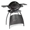 Weber Q 1200 Stand Black -Kortingswinkel voor buitenkamperen weber q 1200 stand black 824211 ecommerce a506